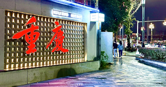 net域名解析查询