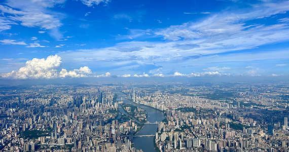 常州net域名信息查询