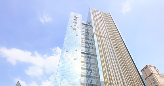 net域名注册查询