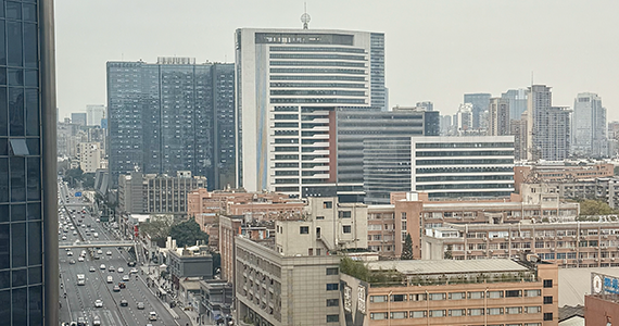 国内net域名查询