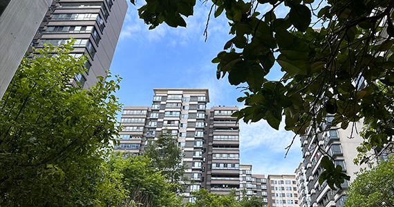 哈尔滨net域名信息查询