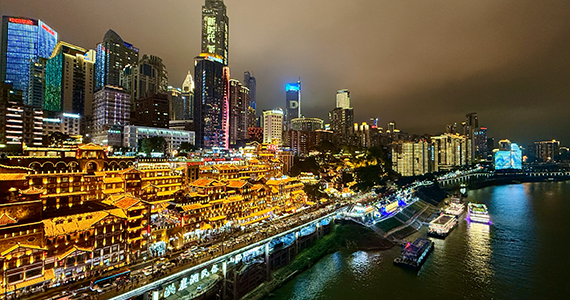 英文net域名查询文档介绍内容