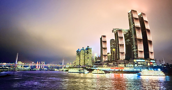 济南net域名信息查询