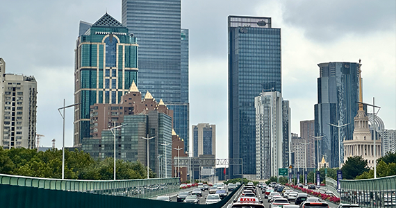 net域名查询文档介绍内容