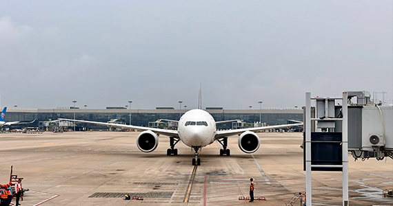 泉州net域名查询