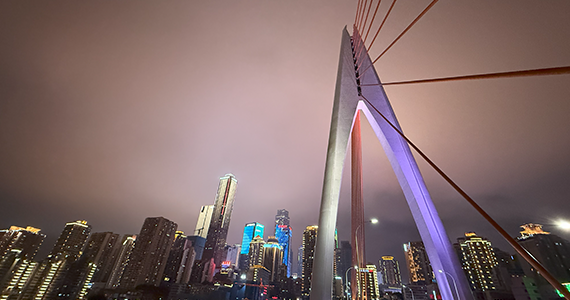 如何查询商城域名net