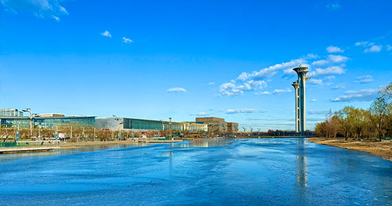 深圳net域名信息查询