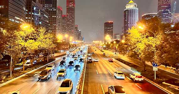 国内net域名信息查询网站