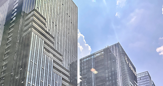 net域名解析查询